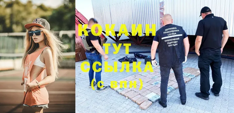 COCAIN Эквадор  Зеленогорск 