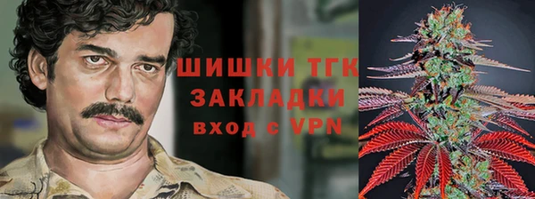 мдпв Надым