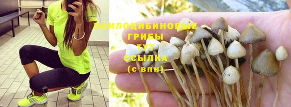 мдпв Надым
