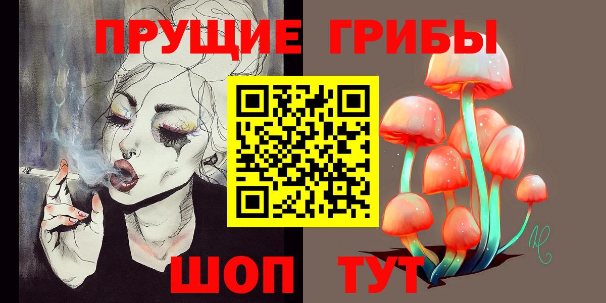 Псилоцибиновые грибы прущие грибы Зеленогорск