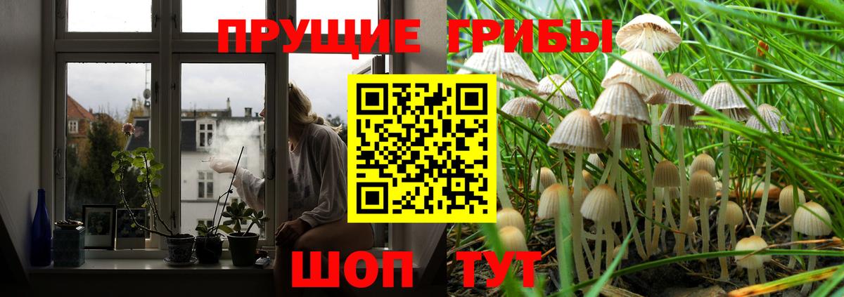 Галлюциногенные грибы MAGIC MUSHROOMS  Зеленогорск  Галлюциногенные грибы прущие грибы 