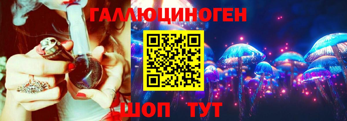 Псилоцибиновые грибы GOLDEN TEACHER  Вход с VPN  Галлюциногенные грибы Cubensis  даркнет сайт  Зеленогорск 
