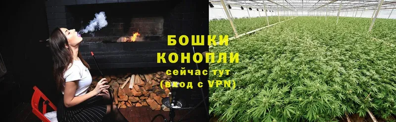 shop состав  купить наркотик  Зеленогорск  Бошки Шишки индика 